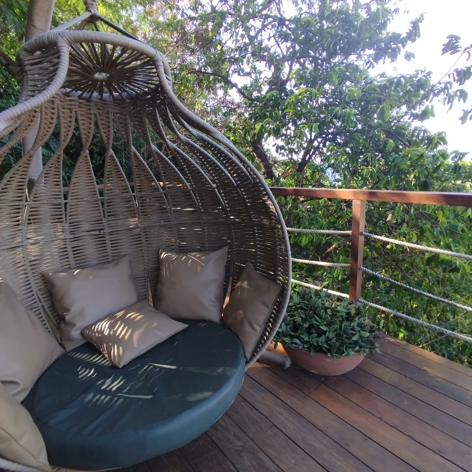 Conectado com a natureza