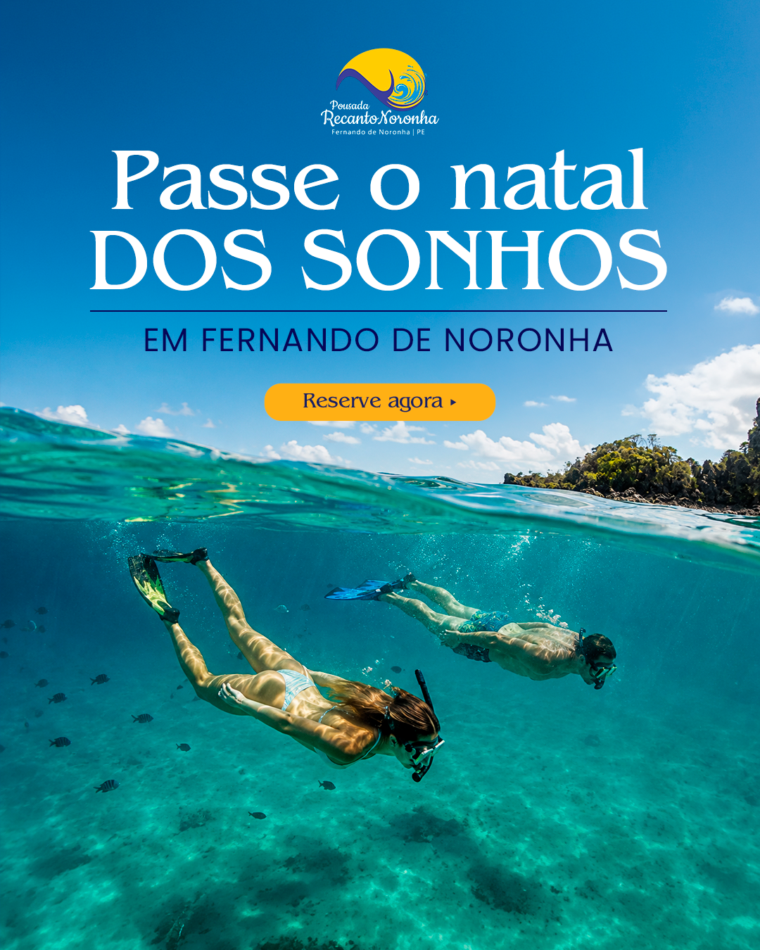 Passe o Natal dos Sonhos